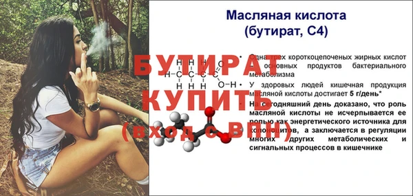 шишки Сосновый Бор
